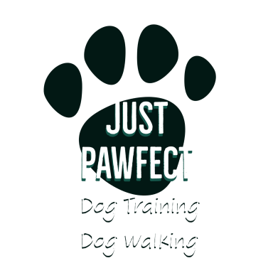 Pawfect dog hot sale walking